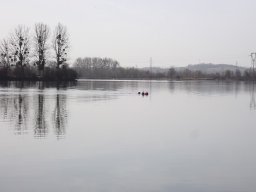 Apnée La Frette 25-02-2021